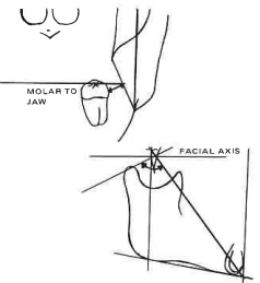 Manual Illustration